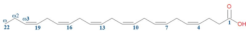 File:Docosahexaenoic acid.jpg