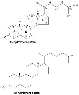 Cholesterol structure nomenclature DEVolk.jpg