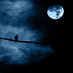 Noche de luna llena - Full moon night.jpg