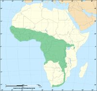 Distribution of the forest cobra