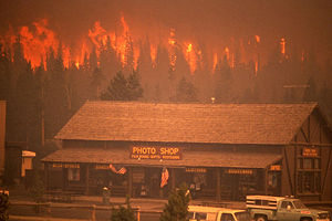 Picture of forest fire behind a store.