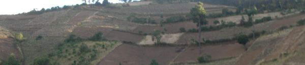 Guatemala landscape.JPG