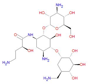 Amikacin structure.jpg