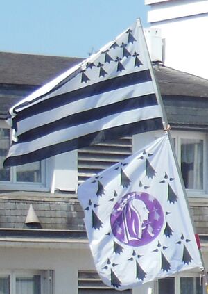 Brittany flags at demo.jpg