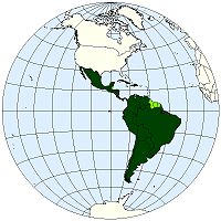Map-Latin America2.jpg